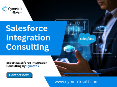 Mumbai, Computer, Salesforce Integration Services In India