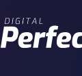 Digital Perfection LLC FZ