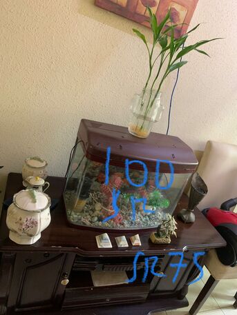 Al Jubail Al Balad, Household Items, Helping A Friend