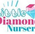 Little Diamond Nursery The Gardens