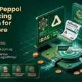 Affinity Peppol E-Invoicing Solution For Singapore