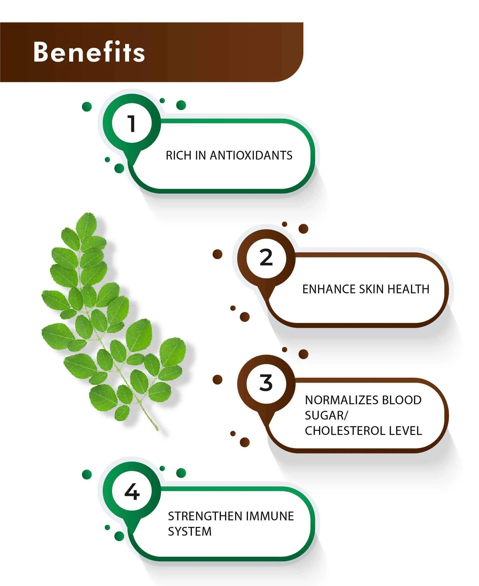 Ahmedabad, Health & Beauty Items, INR 100,  Moringa Leaves Powder, Complete Nutrition & Vitality | Buy Online - H&C - Health N Wellnes