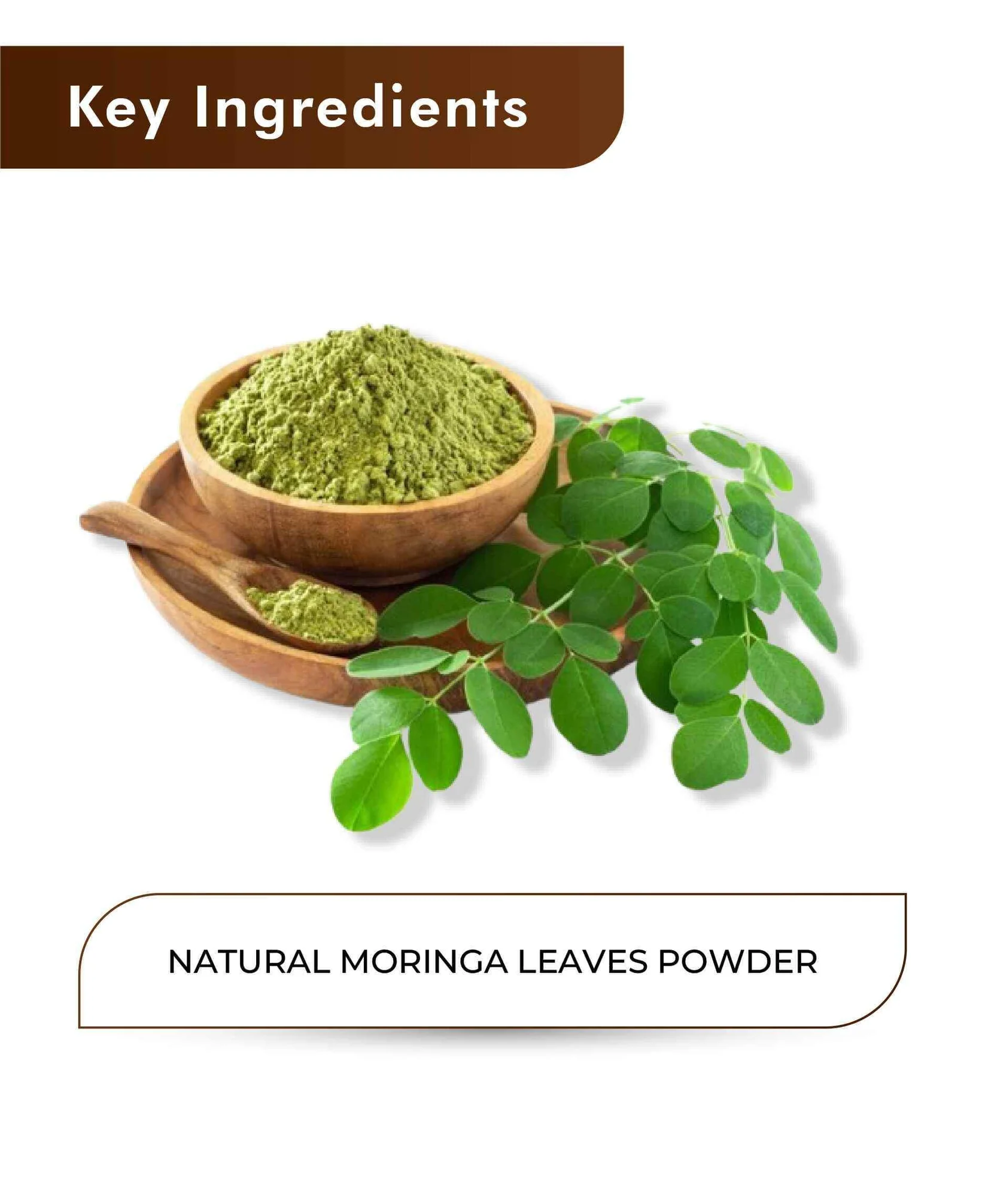 Ahmedabad, Health & Beauty Items, INR 100,  Moringa Leaves Powder, Complete Nutrition & Vitality | Buy Online - H&C - Health N Wellnes
