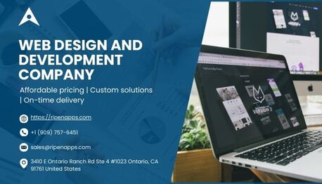 New York, Web Design & Development, Web Design And Development Company