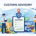 Professional Custom Advisory For Import&ndash;Export Compliance - Exim Advisory