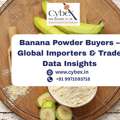 Banana Powder Buyers &ndash; Global Importers & Trade Data Insights