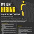 Sales Executive - Media & Marketing