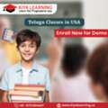 Telugu Classes In Houston, Texas