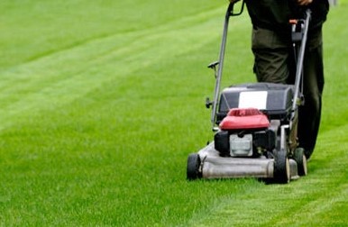 New York, Business, Commercial Lawn Aerator Service In WA