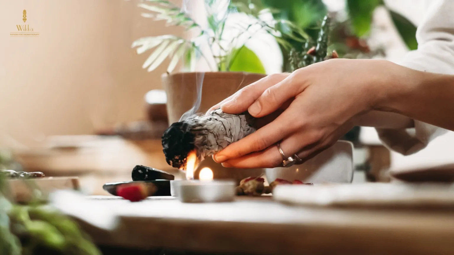 New Delhi, Health, Aromatherapy: Natural Healing With Powerful Essential Oils