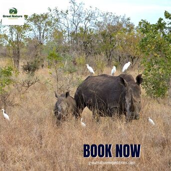 New York, Travel, 10 Day Kenya Holiday Safari With Great Nature Expeditions