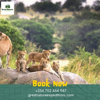 New York, Travel, 10 Day Kenya Holiday Safari With Great Nature Expeditions