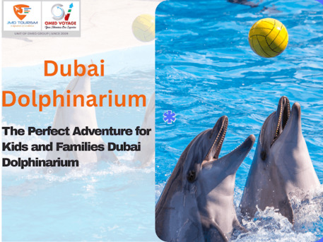 Dubai, Travel, Enjoy Amazing Dolphin Show Dubai At Creek Park Dolphinarium