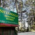 Pet Friendly Homestay In Shimla