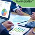 Audit Management