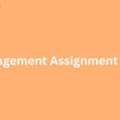 How Can Management Assignment Help Boost Your Grades?