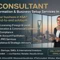 The Consultant ( Business Formation & Support Services )....