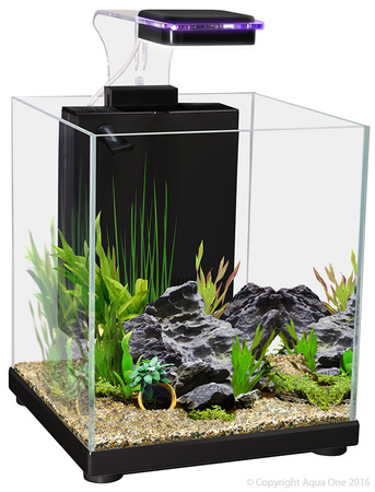 Sydney, Business, Oasis Aquariums &ndash; Premium Fish Tank & Aquarium Store In Sydney