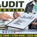 Audit Systems Support Services