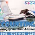 Accounting Monitoring Consultant Adviser