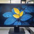 BHD 6,  HP 19&rdquo; LCD / LED Wide Monitor &ndash; Excellent Condition 👉 39548774