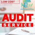 Are You Want Audit Service