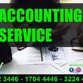 Accounting Data Entry Management And Finance Tax Consultant