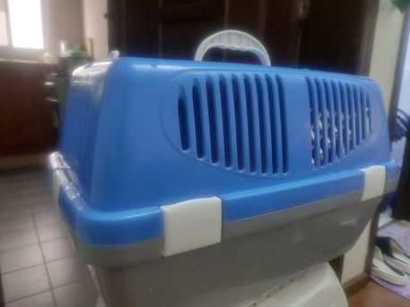 Mahooz, Pet Supplies, BHD 8,  Pet Carrier