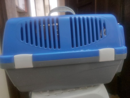 Mahooz, Pet Supplies, BHD 8,  Pet Carrier