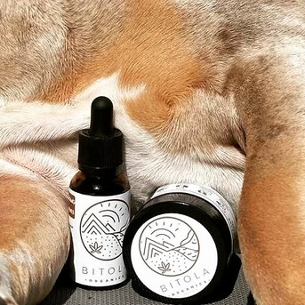 Sydney, Health, Discount Animal Products