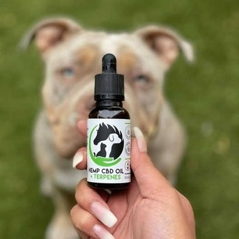 Sydney, Health, Discount Animal Products