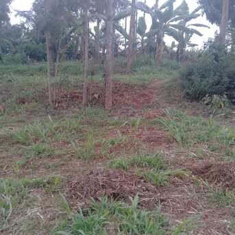 Nairobi, Commercial Plots, KES 65000000,  43650 Sq. Feet,  1 Acre Land In Ndenderu,Kiambu