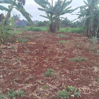 Nairobi, Commercial Plots, KES 65000000,  43650 Sq. Feet,  1 Acre Land In Ndenderu,Kiambu