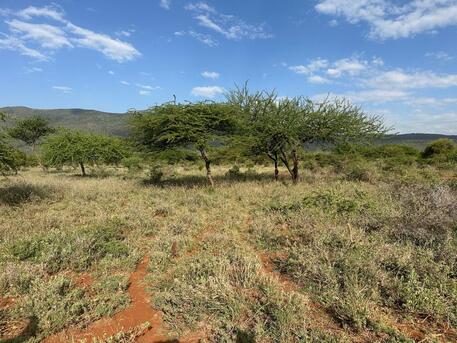 Nairobi, Residential Plots, KES 2000000,  21780 Sq. Feet,  Half Acre Land In Ngong Suswa