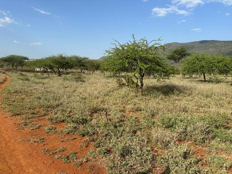 Nairobi, Residential Plots, KES 2000000,  21780 Sq. Feet,  Half Acre Land In Ngong Suswa