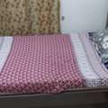 SAR 1200/month,  Furnished,  1 Fully Furnished Room For Rent In 2BHK Apartment