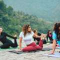 500 Hour Yoga Teacher Training In India