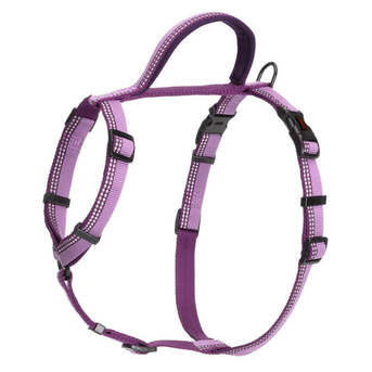 Sydney, Pet Sitting, Comfortable Dog Harness For Large Breeds | Australia