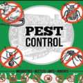# Save Pest Control Spray And Bed Bugs Service With Best Price Service 0558563189