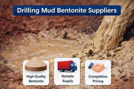 Ahmedabad, Materials, INR 10,  Drilling Mud Bentonite Suppliers