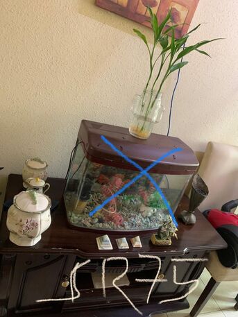 Jubail, Household Items, Helping A Freind