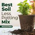 Best Soil Less Potting Mix For Healthy Indoor Plants Growth