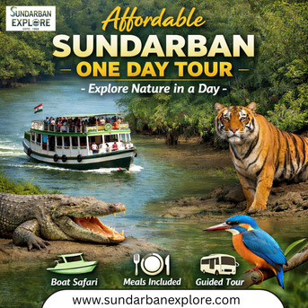 Kolkata, Business, Affordable Sundarban One Day Tour &ndash; Explore Nature In A Day
