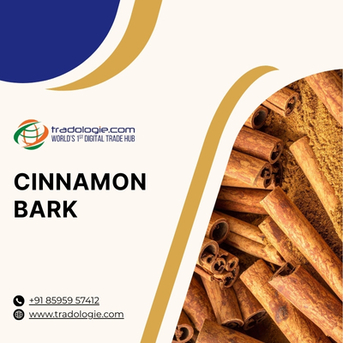 Mumbai, Farm & Garden, INR 2,  Buy Cinnamon Bark Bulk From Cinnamon Bark Exporters India | Cinnamon Bark B2B Trade Market