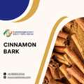 INR 2,  Buy Cinnamon Bark Bulk From Cinnamon Bark Exporters India | Cinnamon Bark B2B Trade Market