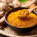 Turmeric Powder Traders Suppliers In Rajkot