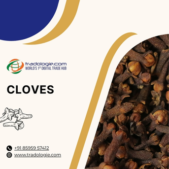 Mumbai, Farm & Garden, INR 2,  Buy Cloves Bulk From Cloves Exporters India | Cloves B2B Marketplace For Global Trade