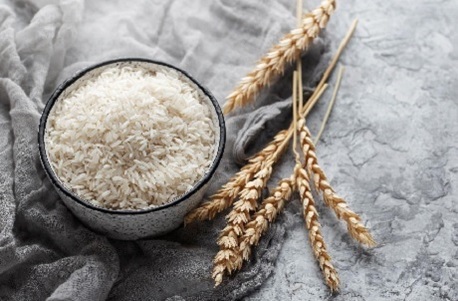 Jaipur, Wholesale Products, Basmati Rice Suppliers In Rajasthan