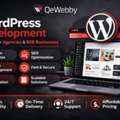 Professional WordPress Development Services | Custom WordPress Solutions By QeWebby