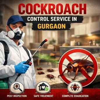 Gurgaon, Pest Control, Cockroach Control Service In Gurgaon | Safe And Effective Treatment By Service Mantra Pest